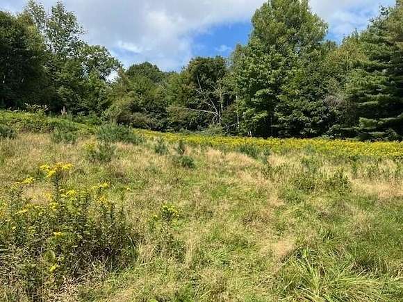 1.3 Acres of Residential Land for Sale in Greenwood, Maine