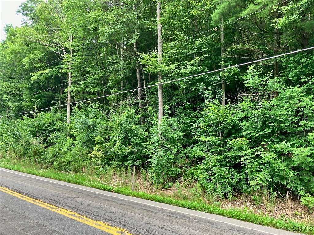 8.96 Acres of Recreational Land for Sale in Barker Town, New York