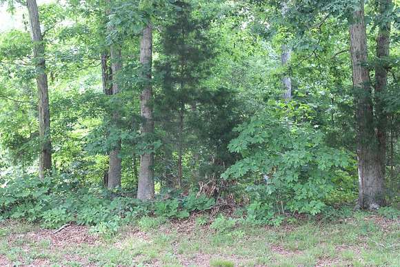 0.24 Acres of Land for Sale in Greenbackville, Virginia