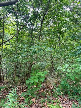 0.31 Acres of Land for Sale in Nelsonville, Ohio