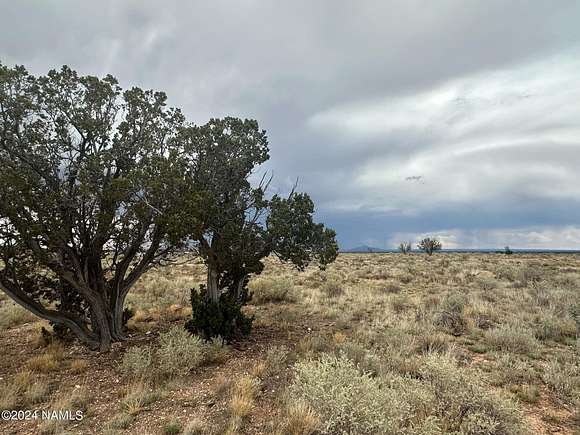 1.03 Acres of Land for Sale in Williams, Arizona