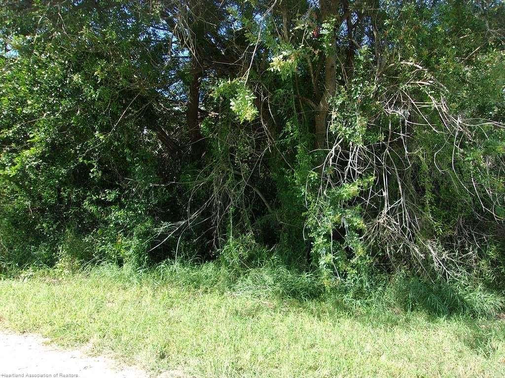 0.27 Acres of Residential Land for Sale in Sebring, Florida