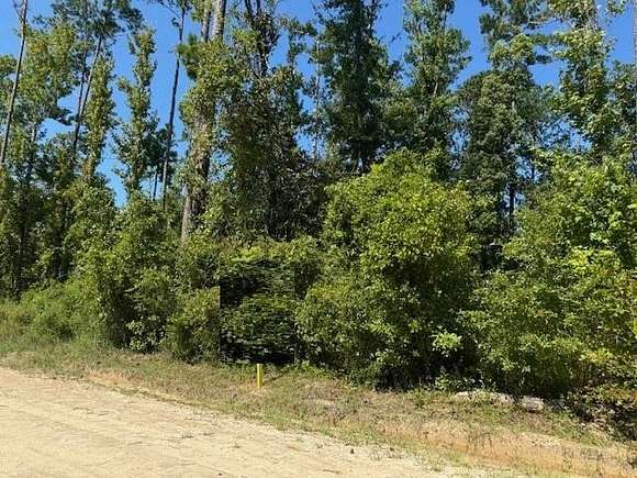 0.42 Acres of Residential Land for Sale in Wewahitchka, Florida