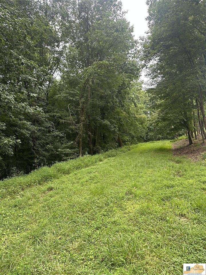 2.72 Acres of Residential Land for Sale in Lucas, Kentucky