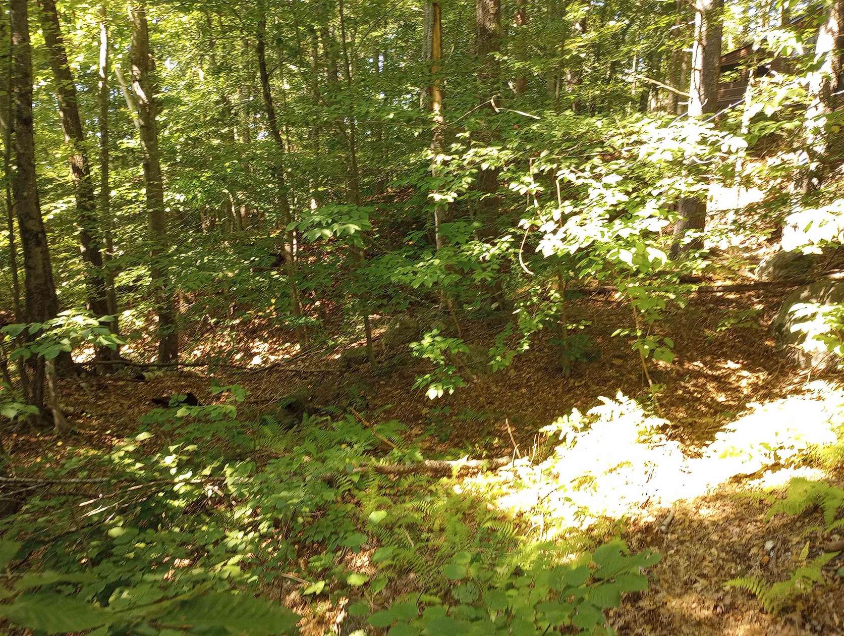 0.5 Acres of Residential Land for Sale in Fryeburg, Maine