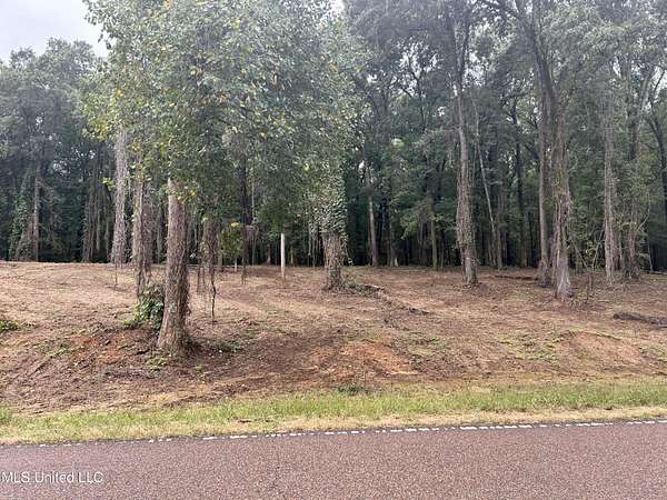 14.7 Acres of Land for Sale in Nesbit, Mississippi