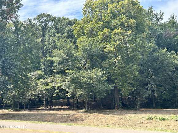 10.06 Acres of Land for Sale in Nesbit, Mississippi