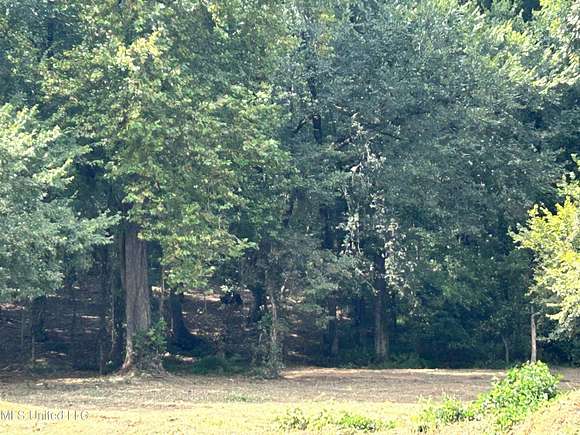 10.03 Acres of Land for Sale in Nesbit, Mississippi