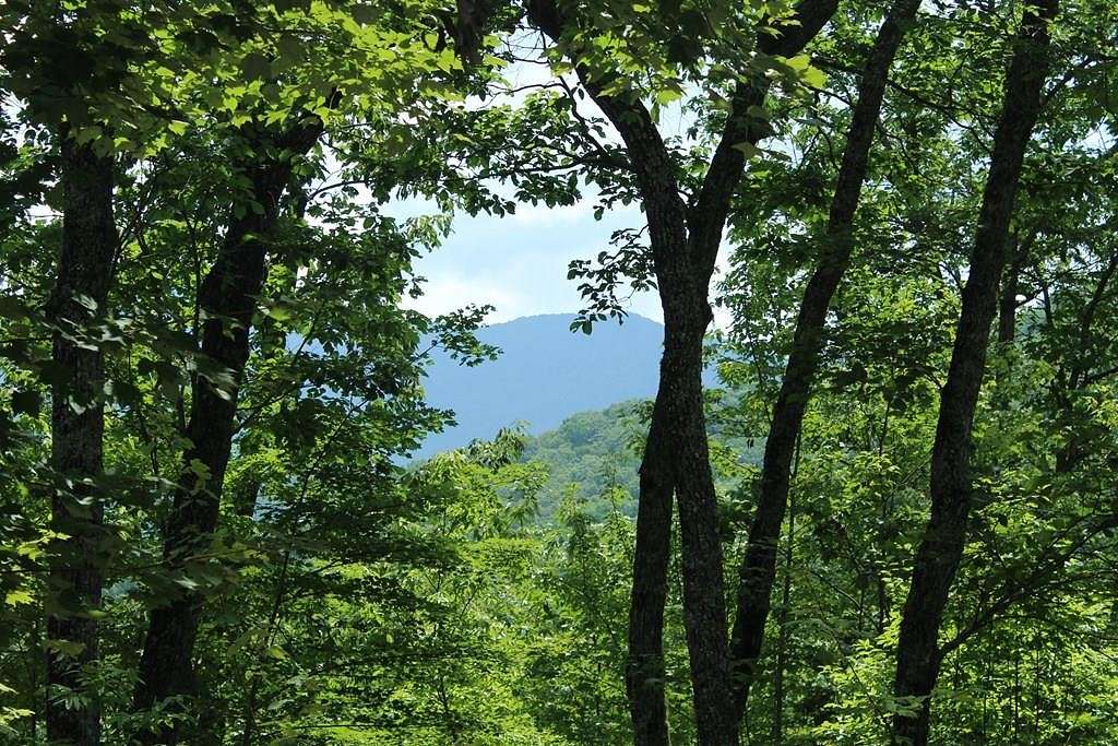 1.23 Acres of Residential Land for Sale in Hayesville, North Carolina