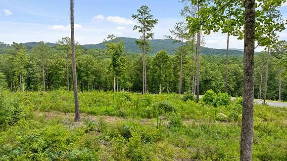 2.73 Acres of Residential Land for Sale in Talking Rock, Georgia