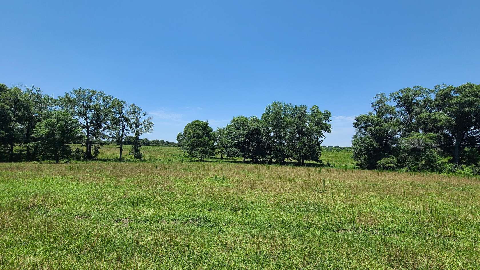 120 Acres of Land for Sale in Poplarville, Mississippi