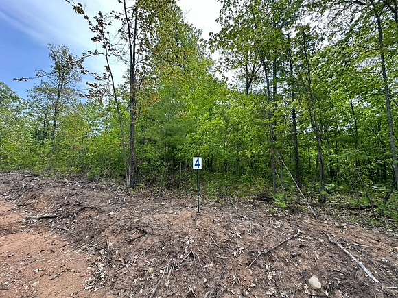 5.25 Acres of Land for Sale in Land O' Lakes, Wisconsin