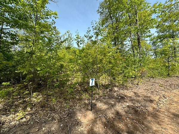 5 Acres of Land for Sale in Land O' Lakes, Wisconsin
