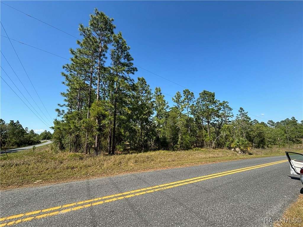 0.99 Acres of Residential Land for Sale in Dunnellon, Florida