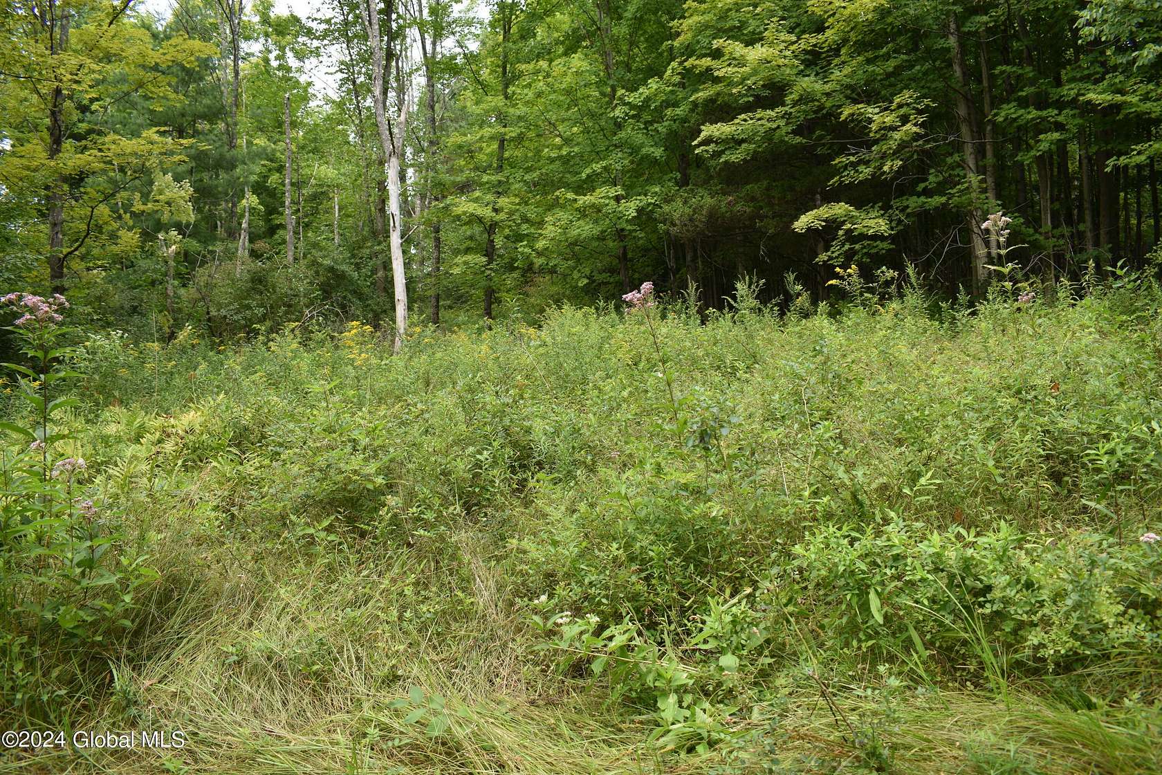 3.98 Acres of Residential Land for Sale in Pittstown, New York