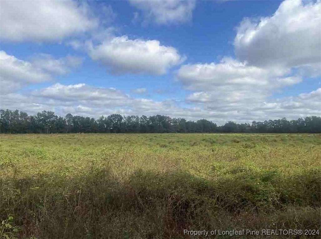 53 Acres of Land for Sale in Rowland, North Carolina