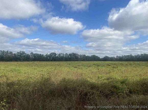 53 Acres of Recreational Land & Farm for Sale in Rowland, North Carolina