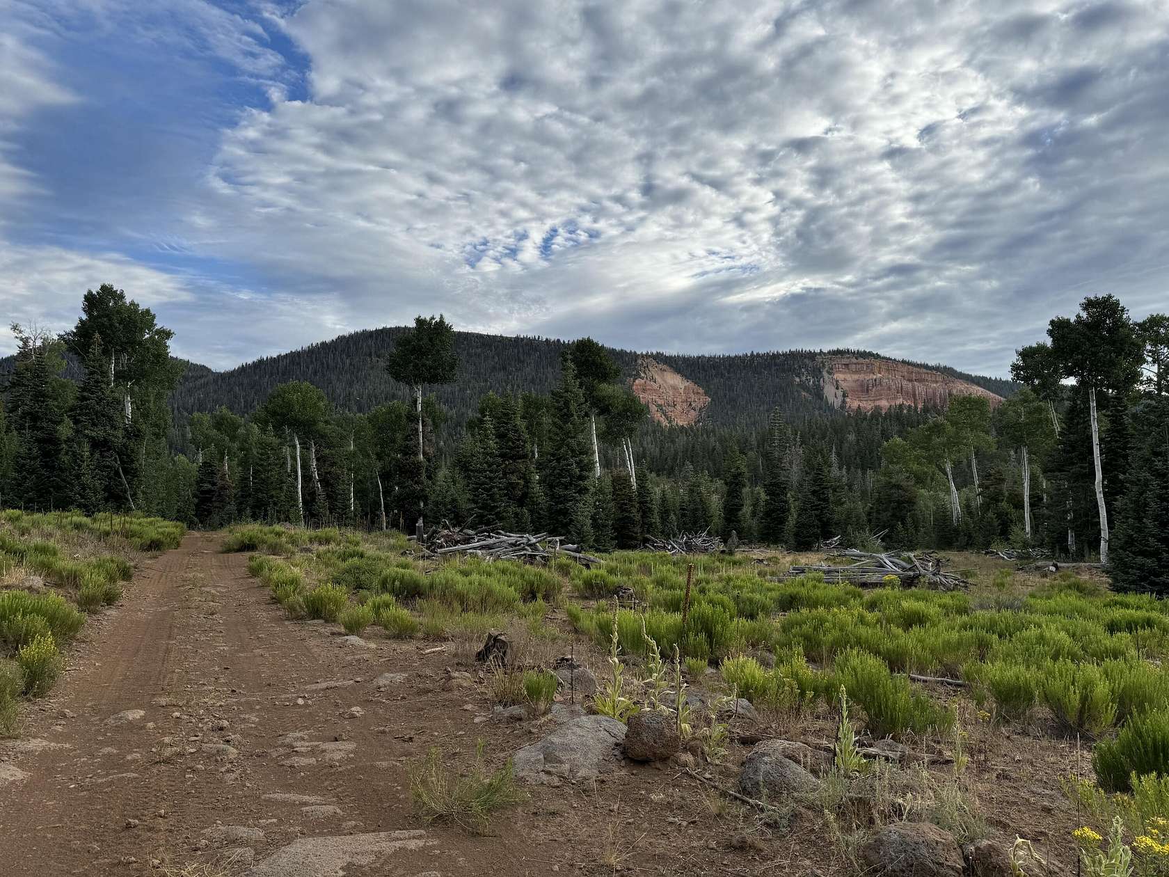 225 Acres of Agricultural Land for Sale in Duck Creek Village, Utah