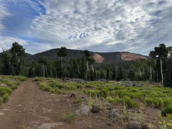 225 Acres of Agricultural Land for Sale in Duck Creek Village, Utah