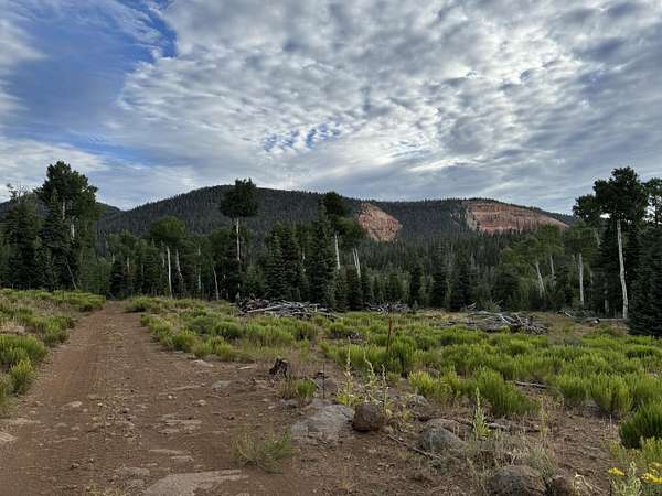 225 Acres of Land for Sale in Duck Creek Village, Utah