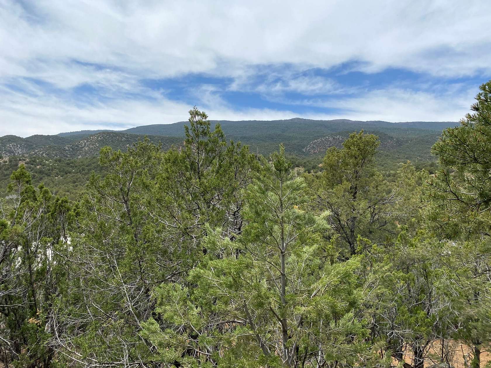 5.23 Acres of Land for Sale in Cedar Crest, New Mexico