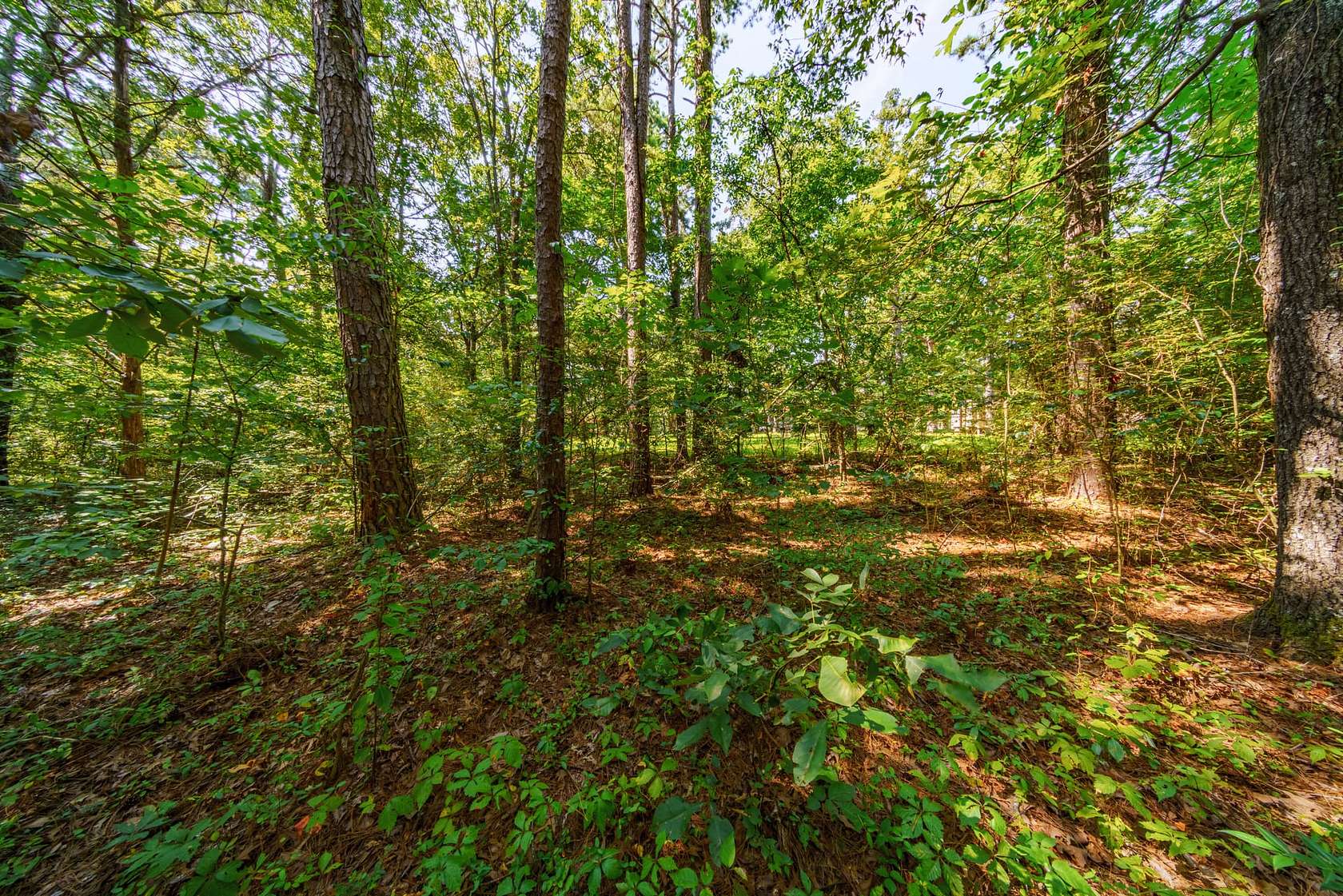 1 Acre of Residential Land for Sale in Batesville, Arkansas