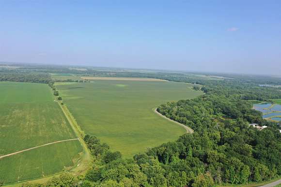 220 Acres of Recreational Land & Farm for Sale in Lonoke, Arkansas