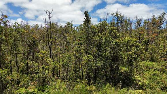 3 Acres of Residential Land for Sale in Volcano, Hawaii