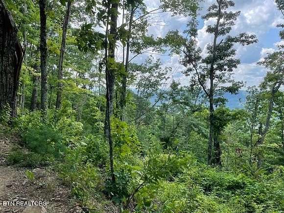 14.23 Acres of Recreational Land for Sale in Huntsville, Tennessee