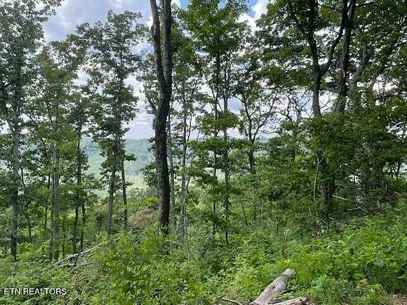 14.23 Acres of Recreational Land for Sale in Huntsville, Tennessee