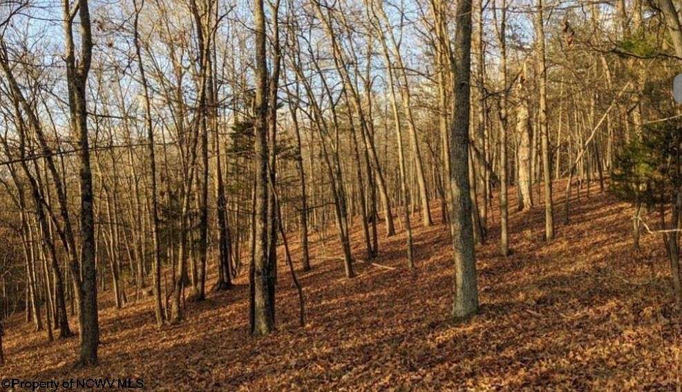 77.95 Acres of Recreational Land & Farm for Sale in Fairmont, West Virginia