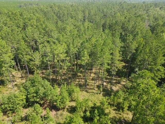 57.5 Acres of Recreational & Residential Land for Sale in Mount Vernon, Georgia