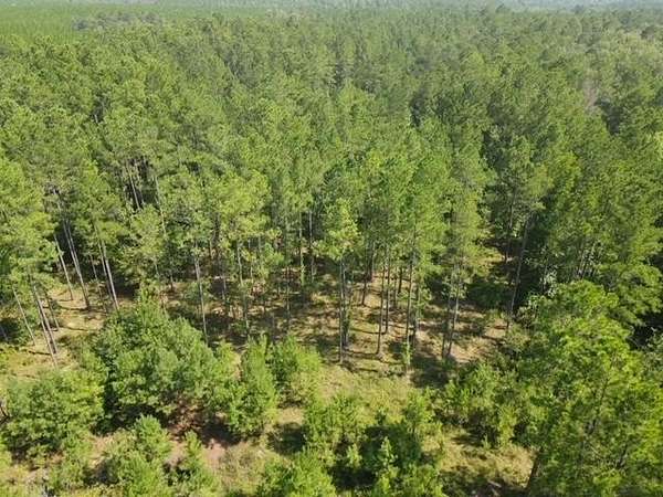 57.5 Acres of Recreational & Residential Land for Sale in Mount Vernon, Georgia