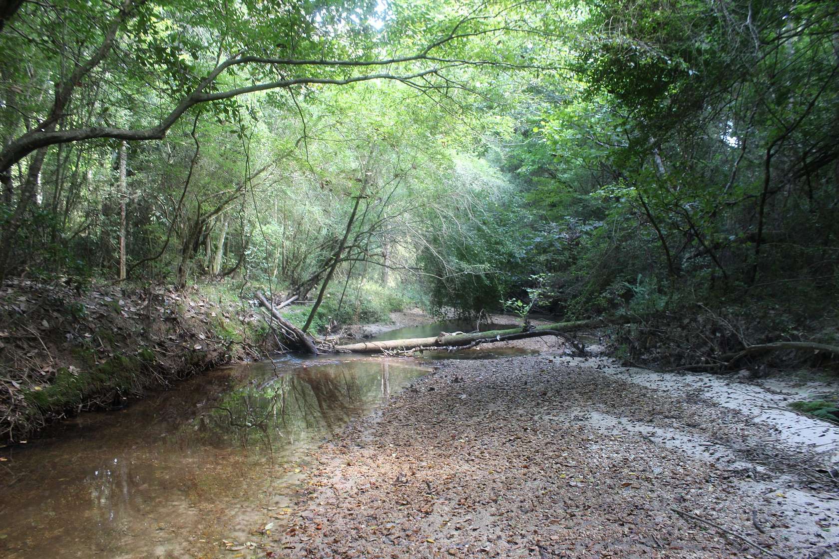 107 Acres of Land for Sale in Brookhaven, Mississippi