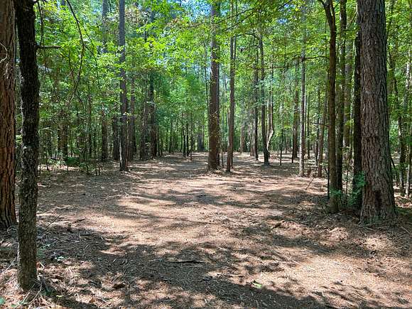 13.47 Acres of Land for Sale in Jefferson, Texas