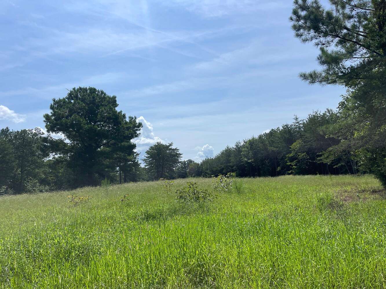 538 Acres of Land for Sale in Tuscaloosa, Alabama