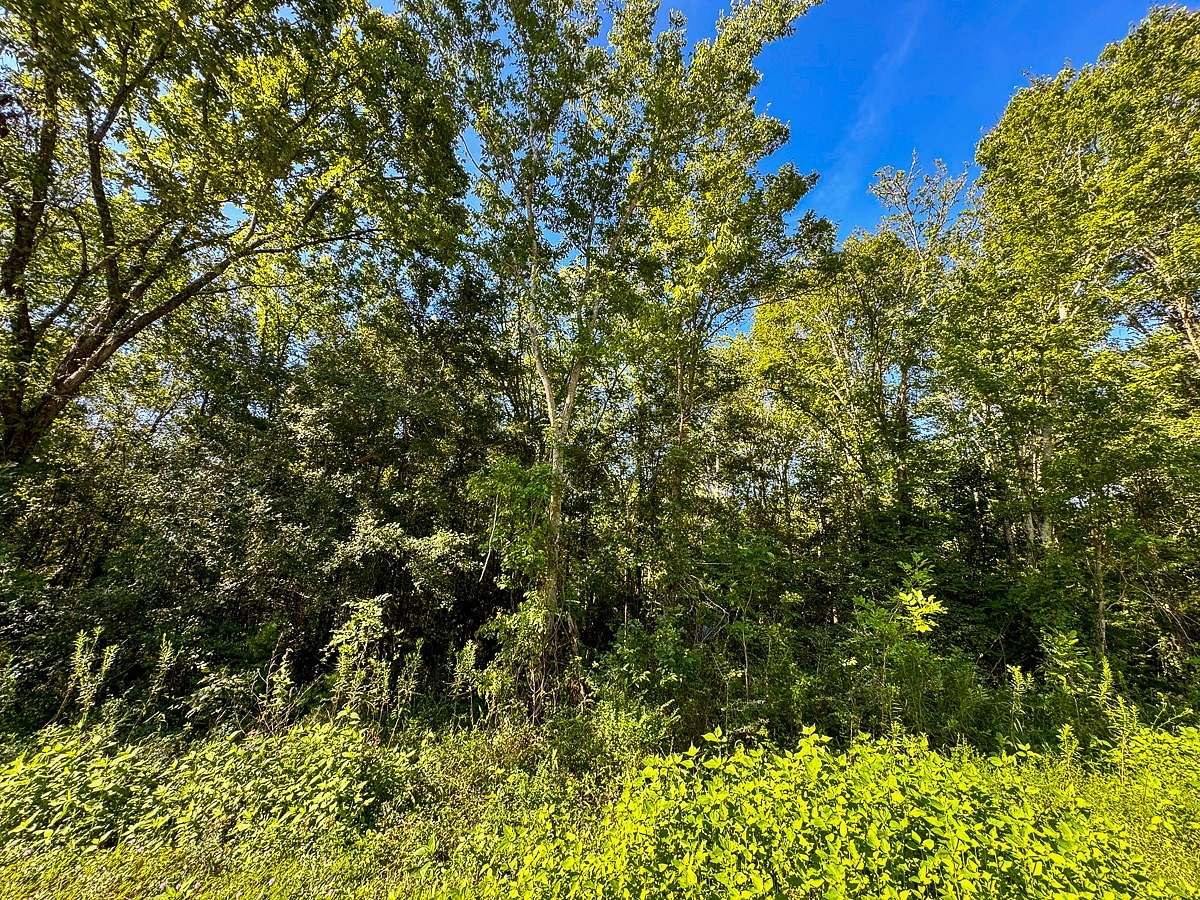 1.811 Acres of Residential Land for Sale in Coldspring, Texas