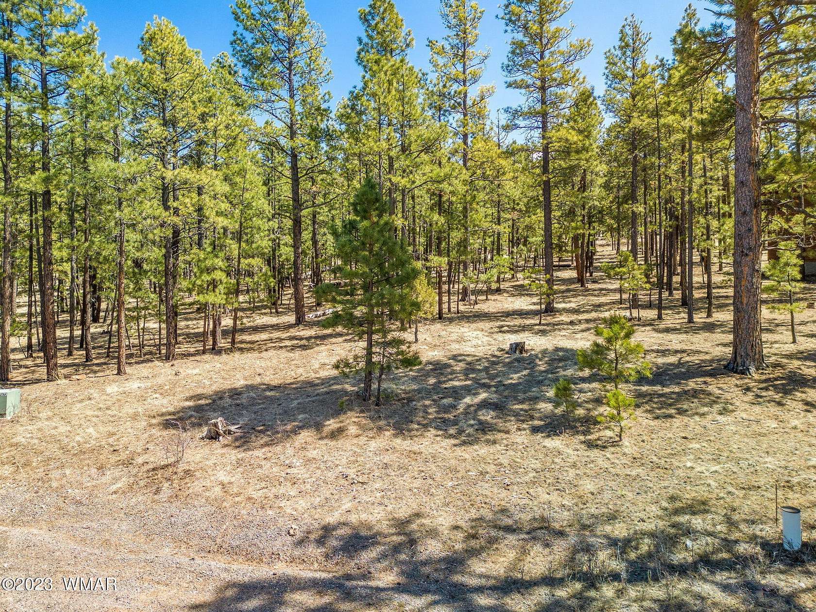 1.02 Acres of Residential Land for Sale in Greer, Arizona