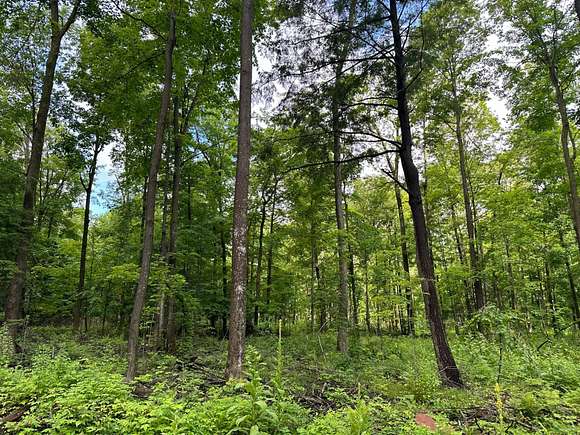 11 Acres of Recreational Land for Sale in Merrill, Wisconsin