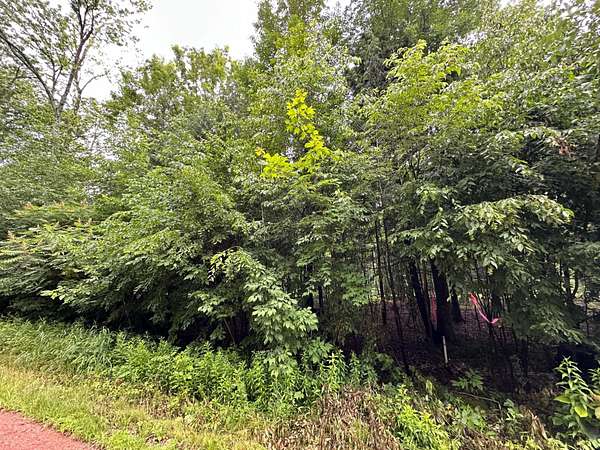 11 Acres of Recreational Land for Sale in Merrill, Wisconsin