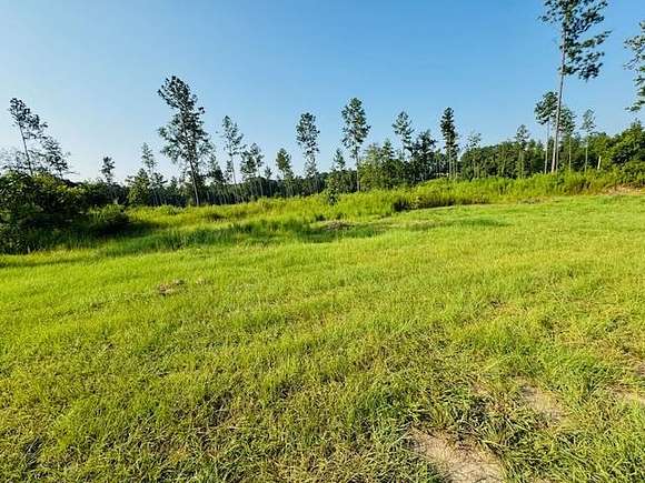 11 Acres of Land for Sale in Franklinton, Louisiana