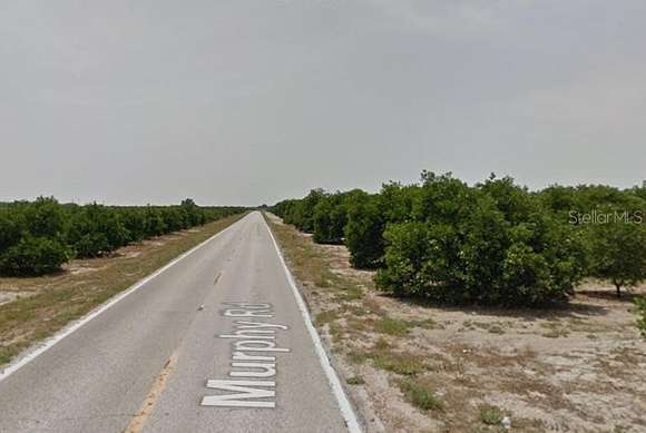 98 Acres of Agricultural Land for Sale in Bartow, Florida