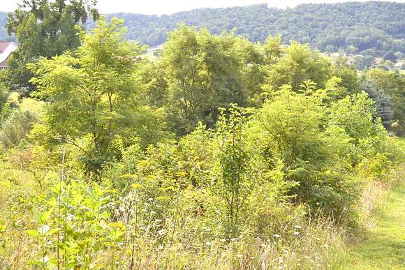 2.38 Acres of Residential Land for Sale in Peterstown, West Virginia