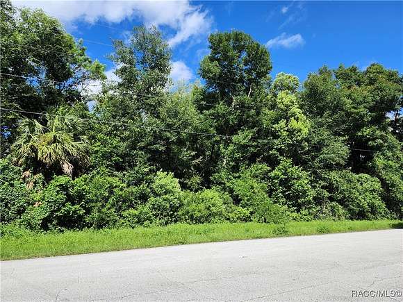 0.28 Acres of Land for Sale in Citrus Springs, Florida