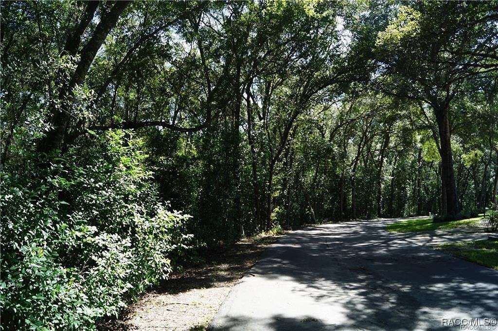 1.02 Acres of Land for Sale in Beverly Hills, Florida