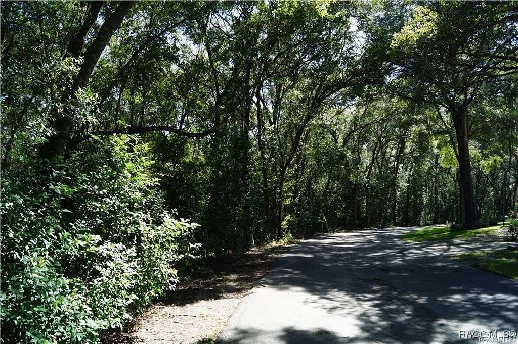 1 Acre of Land for Sale in Beverly Hills, Florida
