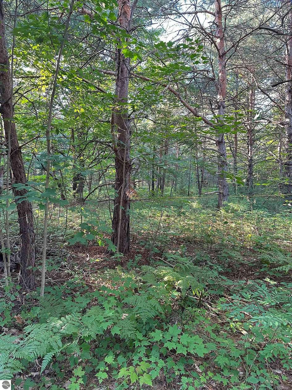 0.66 Acres of Land for Sale in Kalkaska, Michigan