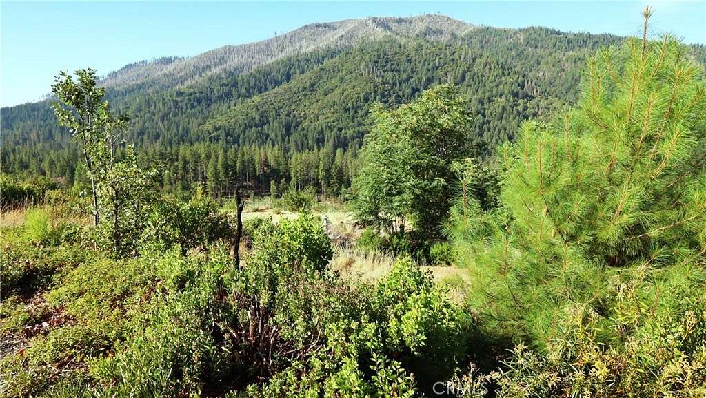 0.3 Acres of Residential Land for Sale in Cobb, California