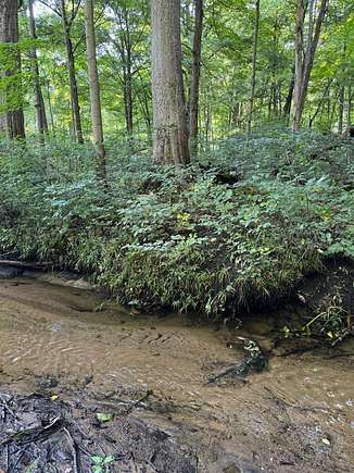 67 Acres of Recreational Land for Sale in Lawton, Michigan