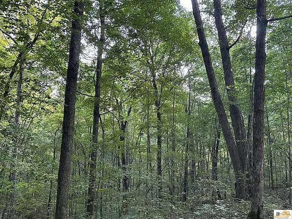 66.13 Acres of Recreational Land for Sale in Tompkinsville, Kentucky